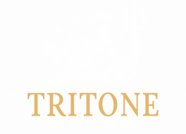 logo tritone cabecera sin fondo recortado-04